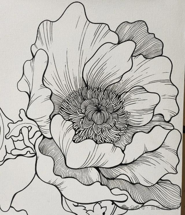 线描装饰画~图片分享