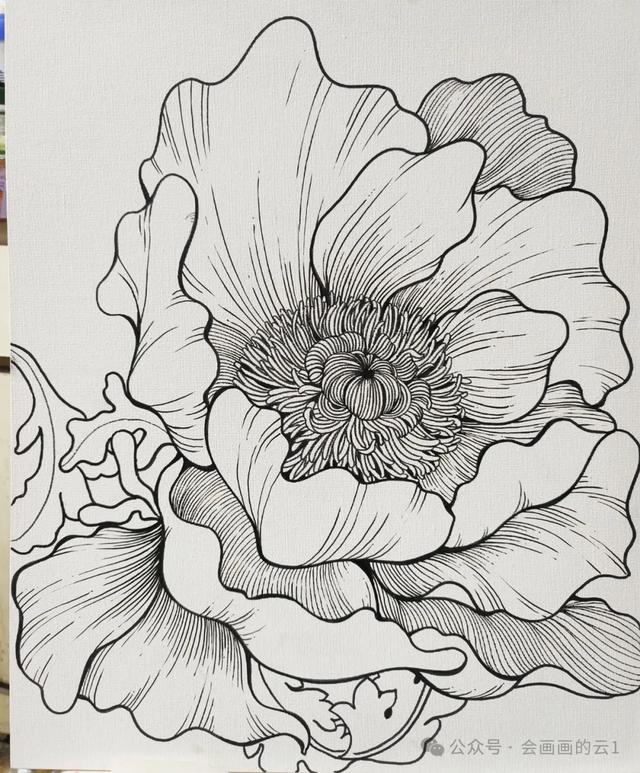 线描装饰画~图片分享